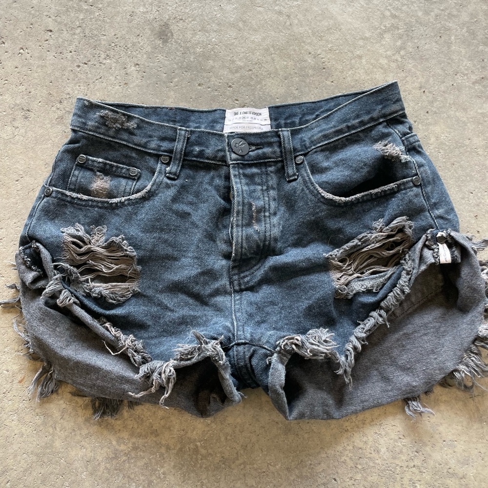One teaspoon bandits short